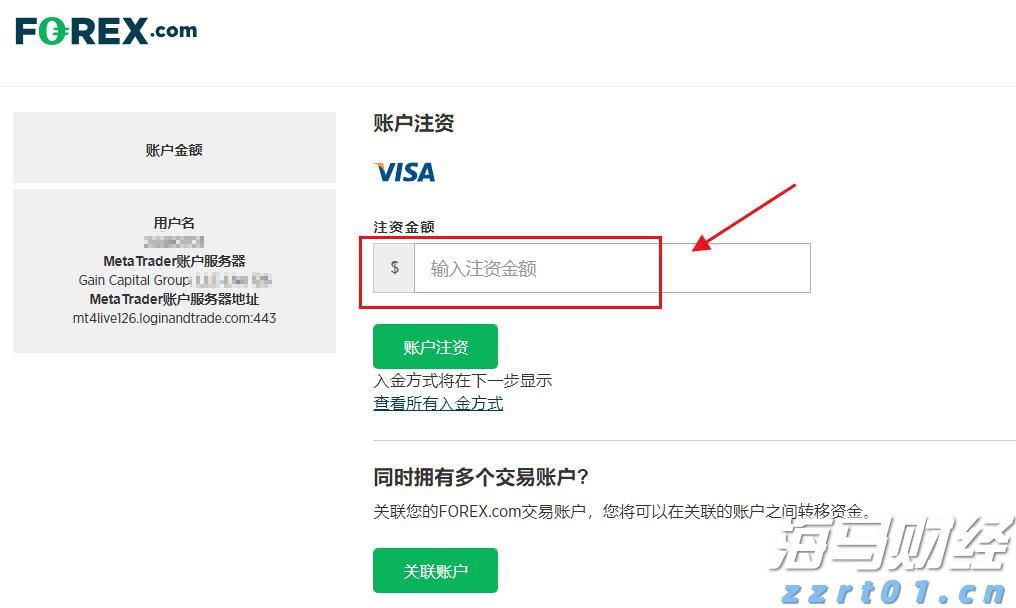 港南区香江龙舟赛激情开赛