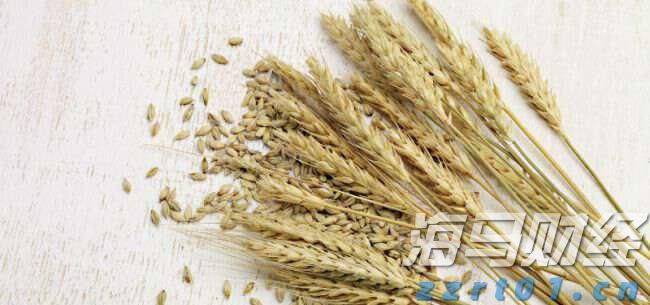 今日15时梅州将启动防汛IV级应急响应