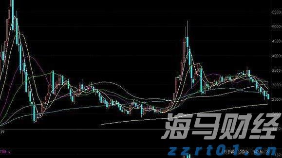 我市相关部门举行就业服务进校园活动