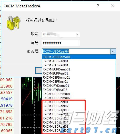遂溪城月镇仁里村：弘扬红色文化 赋能乡村振兴