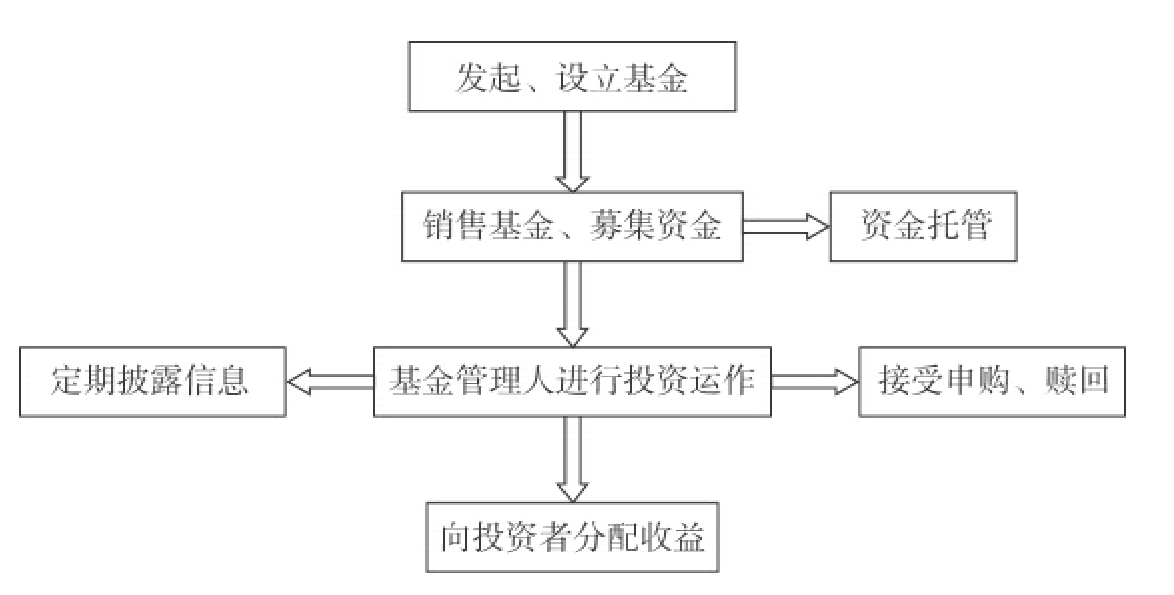 海关查获4件大凤螺贝壳制品，属濒危物种