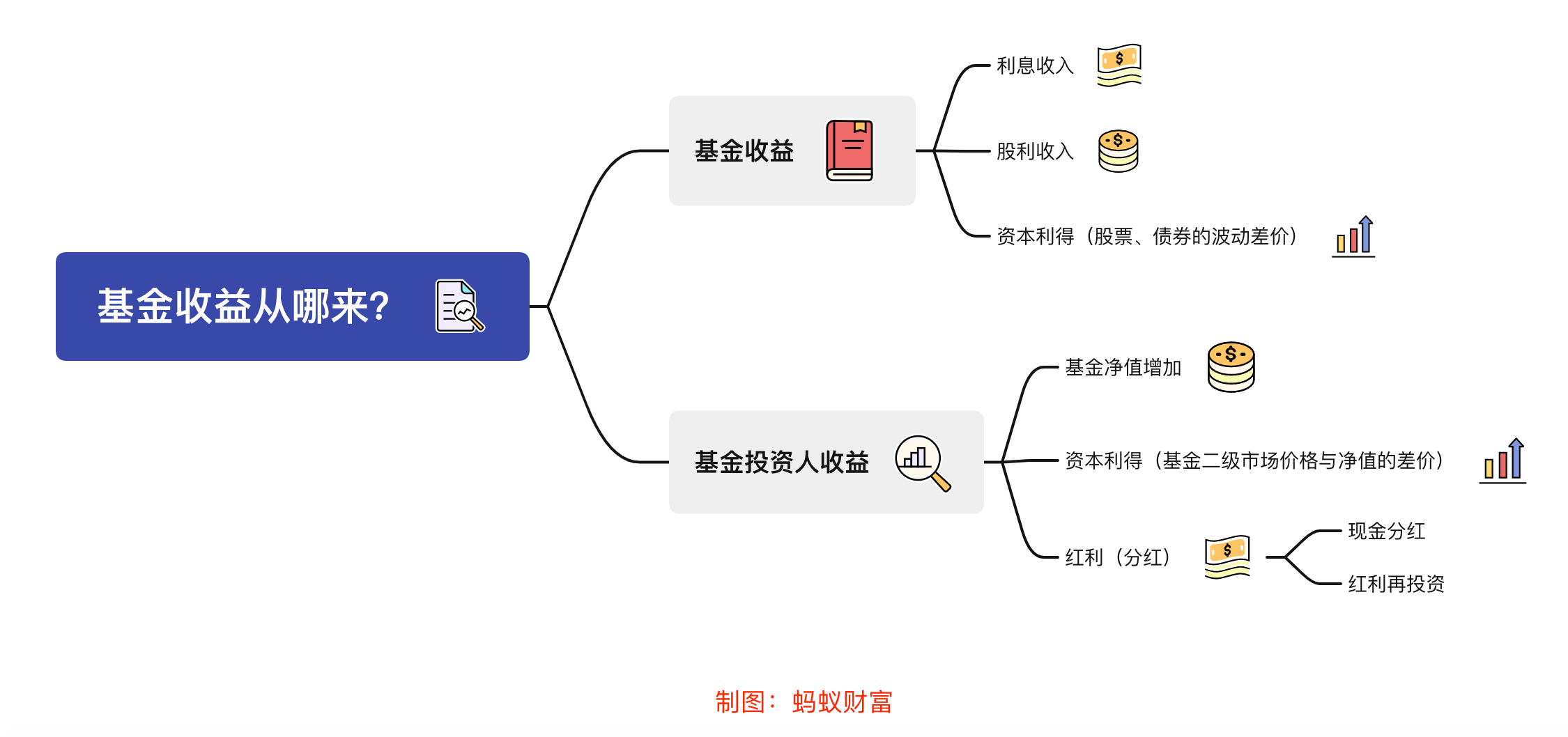 “第一网鲜”来啦！8月15