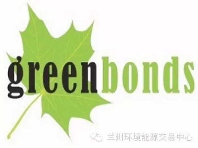 追光逐日，打造产业发展新引擎